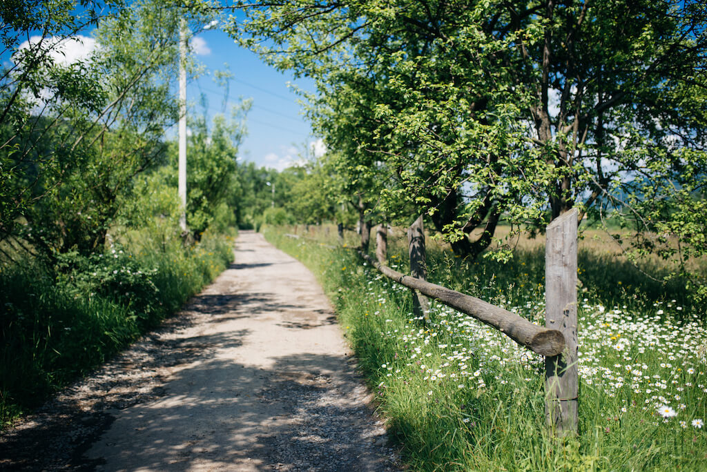 Służebność drogi i odpowiedzialność za jej utrzymanie, drzewa oraz zalewanie drogi przez sąsiada