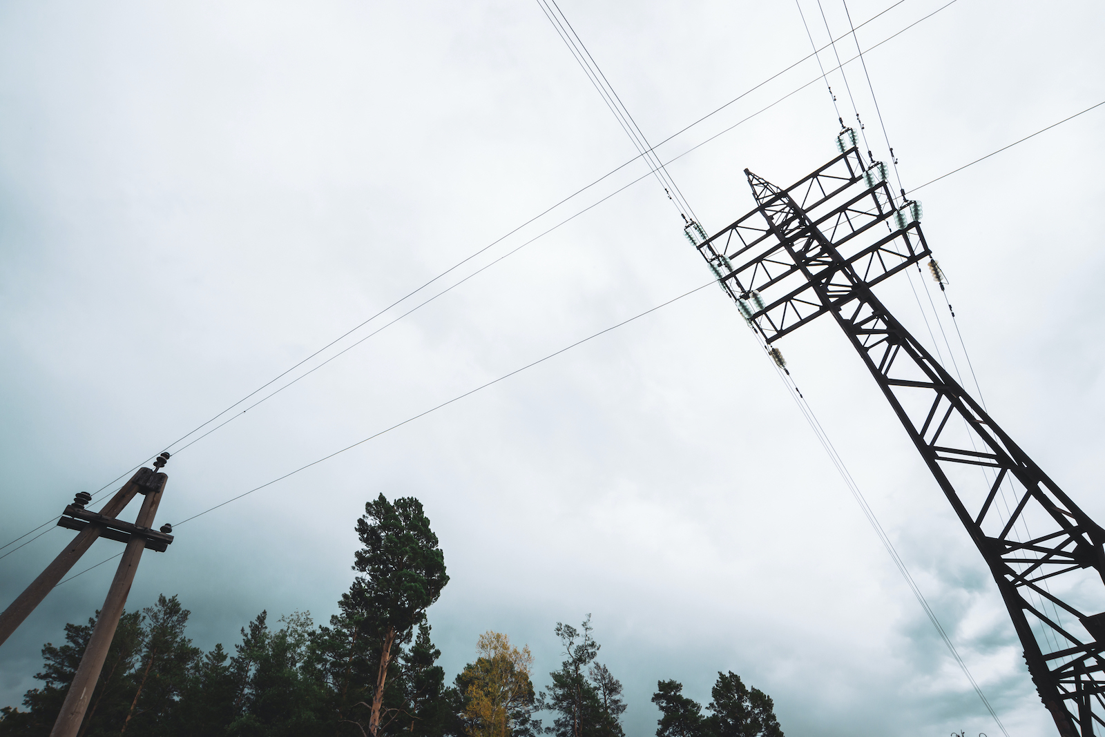 Wycinka drzew pod liniami energetycznymi a odszkodowanie