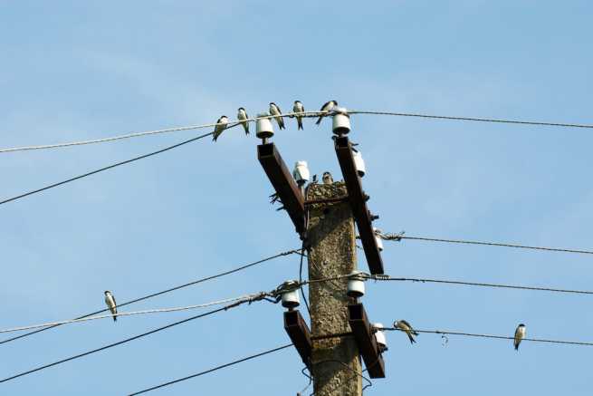 Stare i uszkodzone słupy energetyczne na działce, jak się ich pozbyć?