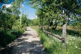 Służebność drogi i odpowiedzialność za jej utrzymanie, drzewa oraz zalewanie drogi przez sąsiada